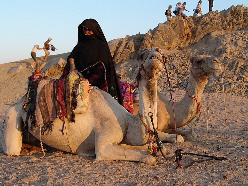 Жизнь и быт в пустыне. Бедуины в Египте. Жители пустыни бедуины Египет. Бедуины Саудовской Аравии. Бедуины в Каире.