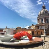 Вероника Белоцерковская