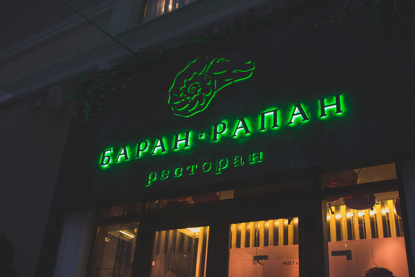 Винная карта баран рапан