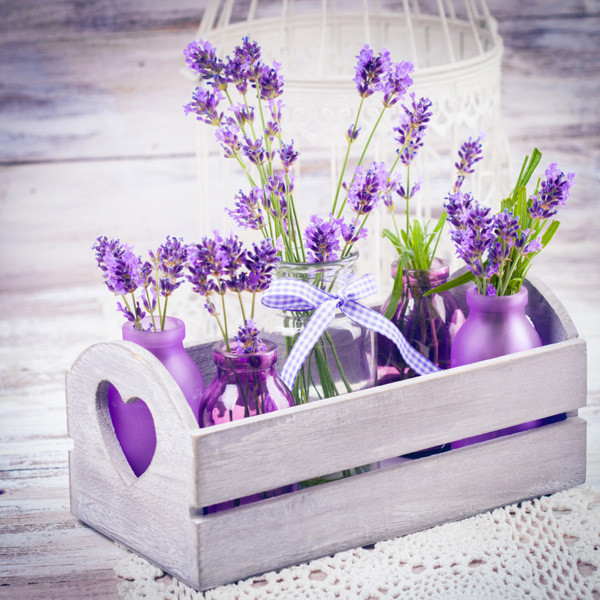 Какой выбрать ароматизатор для дома?