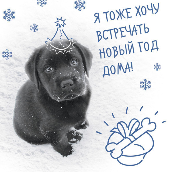Я Тоже Хочу Такой Новый Год Я Тоже Хочу Такой Новый Год
