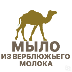 Верблюжье молоко. Верблюжье молоко и сыр. Молочный 3 буквы. Молочный 3 буквы. Молочный 3 буквы.