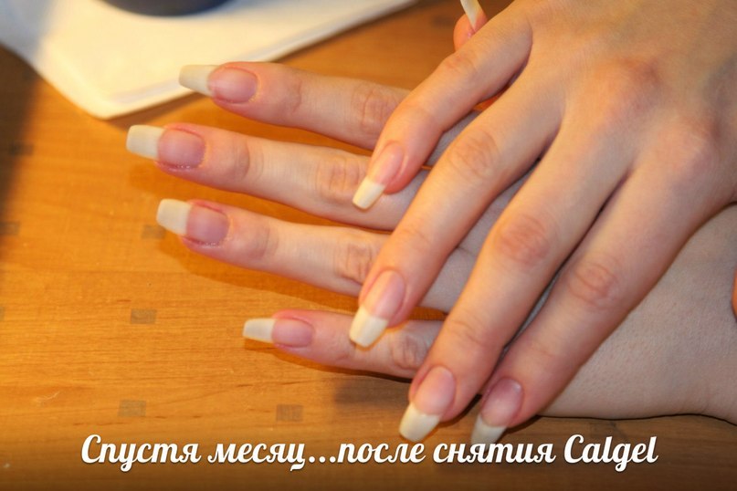 Калгель покрытие для ногтей. Калгель маникюр. Calgel палитра. Японский гель лак для ногтей Calgel. Крем Calgel для кутикулы.