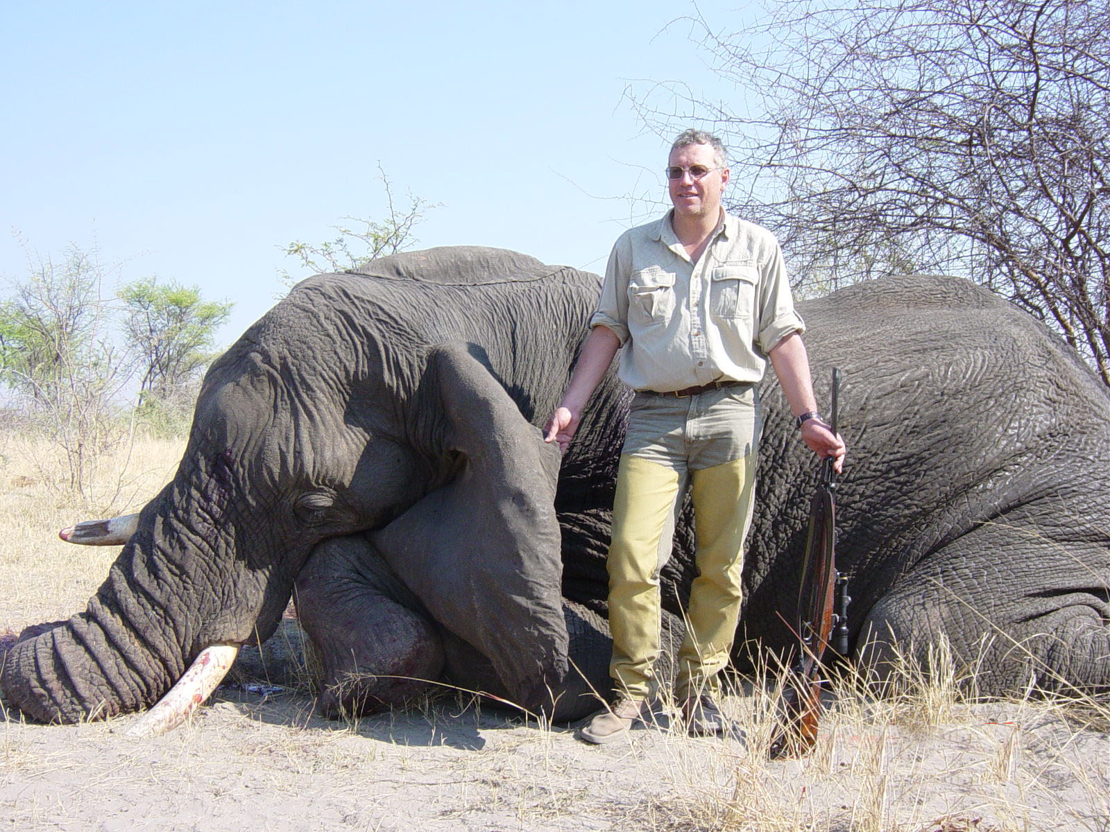 сколько стоит охота на слона в африке