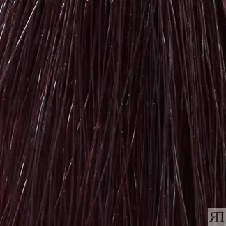 HAIR COMPANY 6.53 краска для волос / HAIR LIGHT CREMA COLORANTE 100 мл HAIR