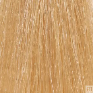 HAIR COMPANY 11.0 краска для волос / HAIR LIGHT CREMA COLORANTE 100 мл HAIR